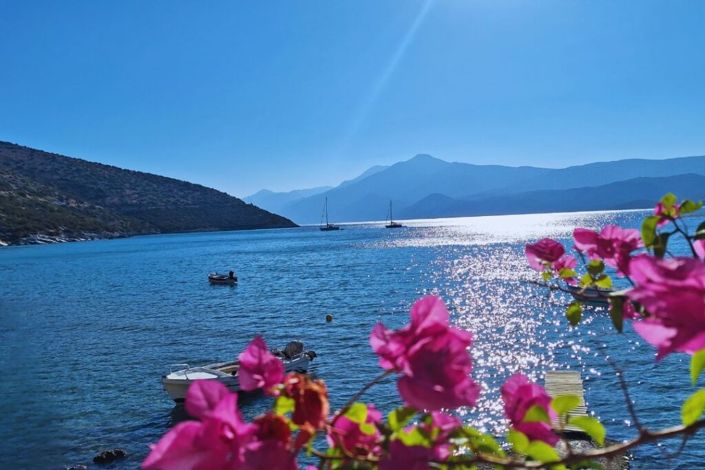 Island Apartments in Psilli Ammos