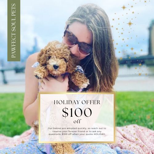 Pawfect Soul Pets in Partnership with Intentional Living Magazine